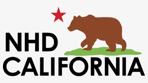 Your Reliable Nhd Provider  				onerror='this.onerror=null; this.remove();' XYZ Https - Grizzly Bear, HD Png Download, Transparent PNG